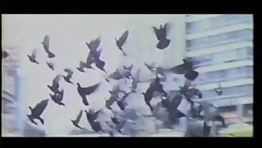 Ichijo's Wet Lust (1972) part 2